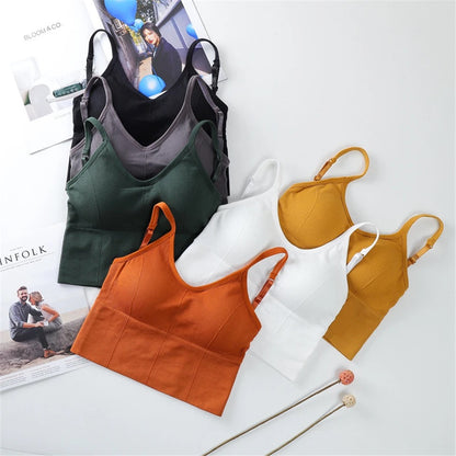Chic Padded Bralettes